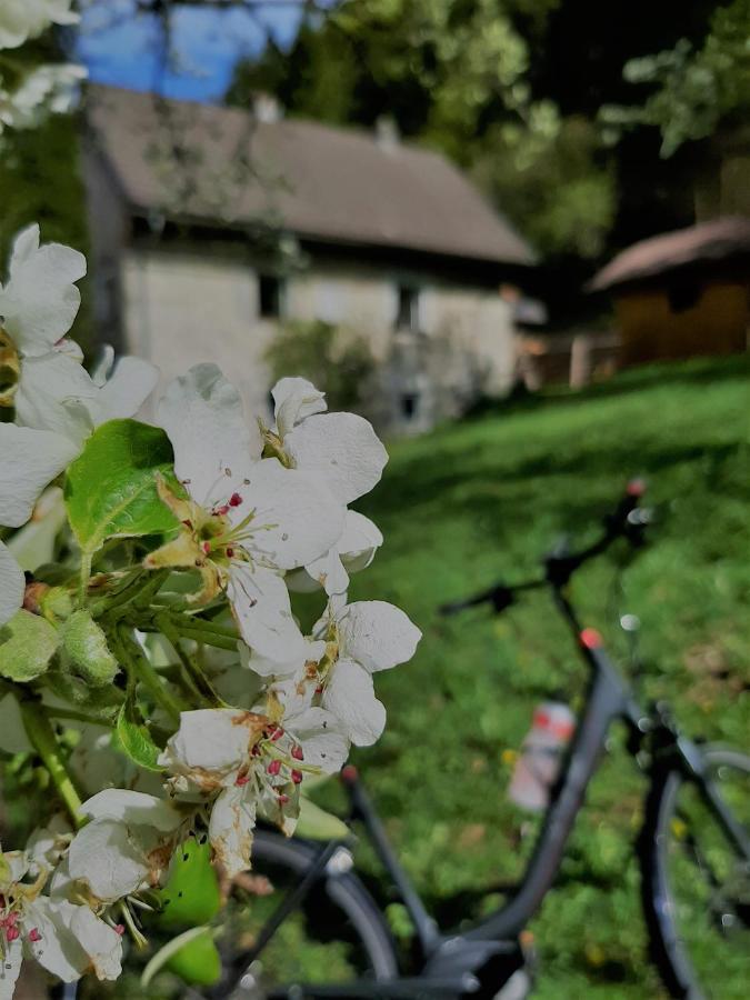 Ferienhaus Hirschnest Sankt Pankraz Eksteriør bilde