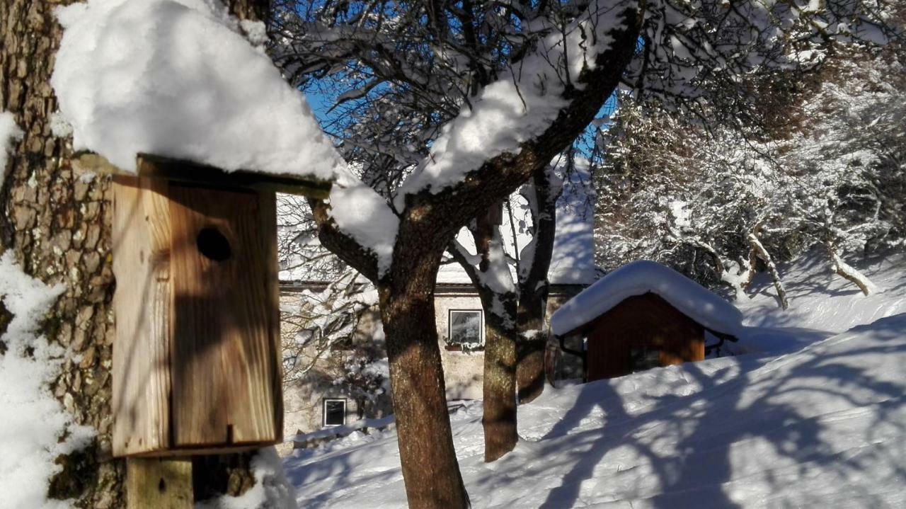 Ferienhaus Hirschnest Sankt Pankraz Eksteriør bilde