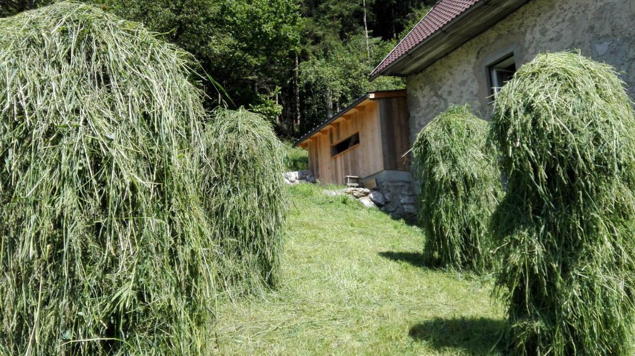 Ferienhaus Hirschnest Sankt Pankraz Eksteriør bilde